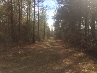 Hunting Camp with Land Tylertown Ms Walthall County - image 16