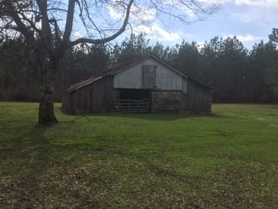 Hunting Camp with Land Tylertown Ms Walthall County - image 8