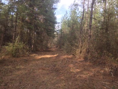 Hunting Camp with Land Tylertown Ms Walthall County - image 18