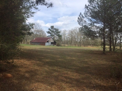 Hunting Camp with Land Tylertown Ms Walthall County - image 12