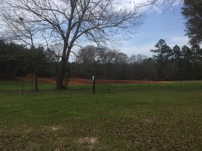 Hunting Camp with Land Tylertown Ms Walthall County - image 9