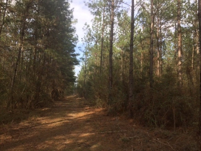 Hunting Camp with Land Tylertown Ms Walthall County - image 17