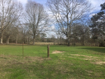 Hunting Camp with Land Tylertown Ms Walthall County - image 24