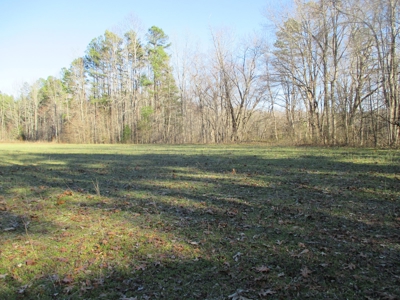 91+ Acre Farm Kerr Lake  Exceptional Timber And Cropland - image 13