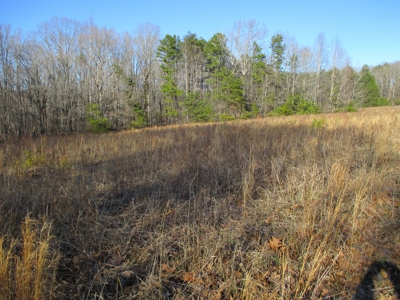 91+ Acre Farm Kerr Lake  Exceptional Timber And Cropland - image 21