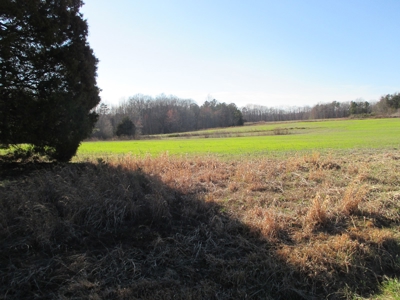 91+ Acre Farm Kerr Lake  Exceptional Timber And Cropland - image 10