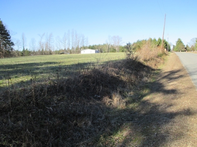 91+ Acre Farm Kerr Lake  Exceptional Timber And Cropland - image 3