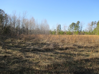 91+ Acre Farm Kerr Lake  Exceptional Timber And Cropland - image 5