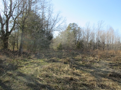 91+ Acre Farm Kerr Lake  Exceptional Timber And Cropland - image 6