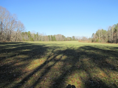 91+ Acre Farm Kerr Lake  Exceptional Timber And Cropland - image 14