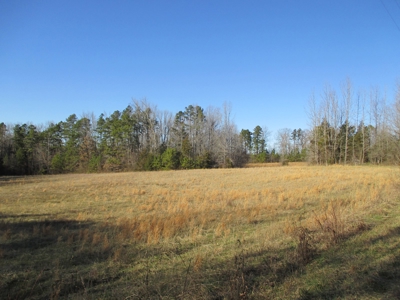 91+ Acre Farm Kerr Lake  Exceptional Timber And Cropland - image 7