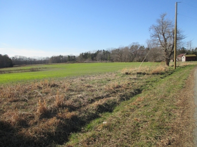 91+ Acre Farm Kerr Lake  Exceptional Timber And Cropland - image 9