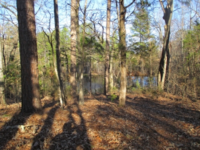 91+ Acre Farm Kerr Lake  Exceptional Timber And Cropland - image 23