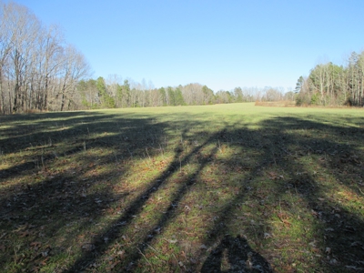 91+ Acre Farm Kerr Lake  Exceptional Timber And Cropland - image 12
