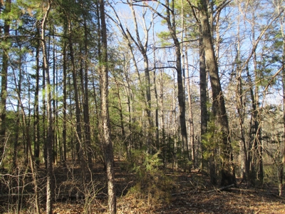91+ Acre Farm Kerr Lake  Exceptional Timber And Cropland - image 25