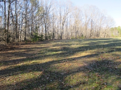 91+ Acre Farm Kerr Lake  Exceptional Timber And Cropland - image 11