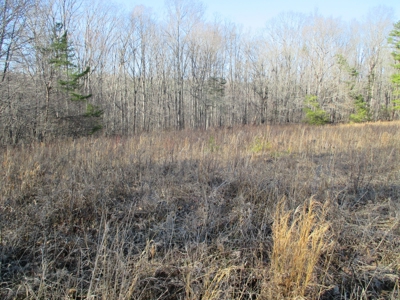 91+ Acre Farm Kerr Lake  Exceptional Timber And Cropland - image 20