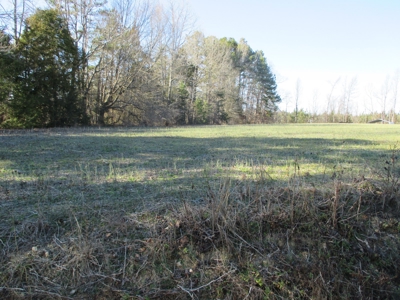 91+ Acre Farm Kerr Lake  Exceptional Timber And Cropland - image 2