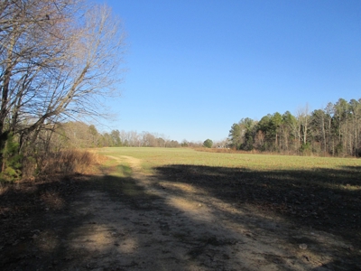 91+ Acre Farm Kerr Lake  Exceptional Timber And Cropland - image 18