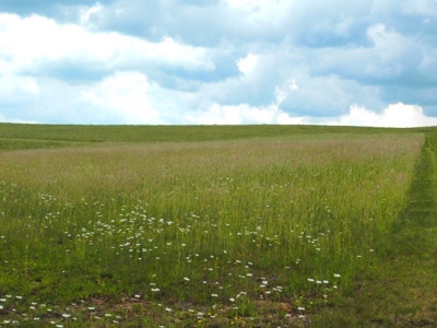Beautiful Property Near Canaan Valley Resort - image 11