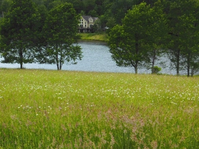 Beautiful Property Near Canaan Valley Resort - image 13