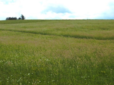 Beautiful Property Near Canaan Valley Resort - image 10