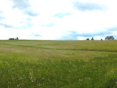 Beautiful Property Near Canaan Valley Resort - image 8