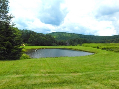 Beautiful Property Near Canaan Valley Resort - image 20