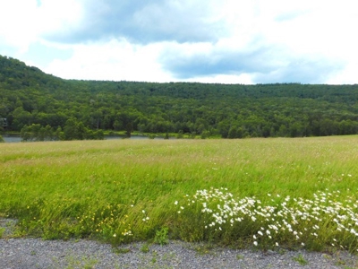 Beautiful Property Near Canaan Valley Resort - image 15