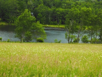 Beautiful Property Near Canaan Valley Resort - image 14