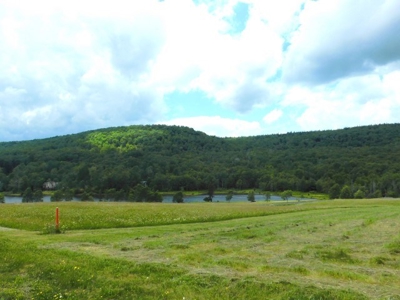 Beautiful Property Near Canaan Valley Resort - image 17