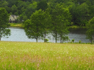 Beautiful Property Near Canaan Valley Resort - image 12