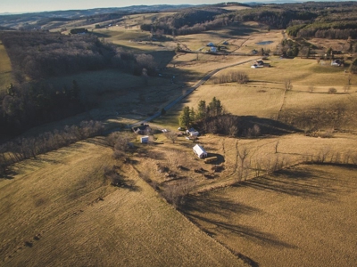 Country Home and Land for Sale in Floyd VA at Auction! - image 9