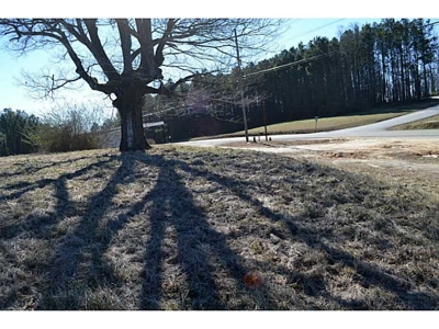 Level N Ga Land for Sale Zoned Hwy Biz Easy ReZone to Ag - image 12