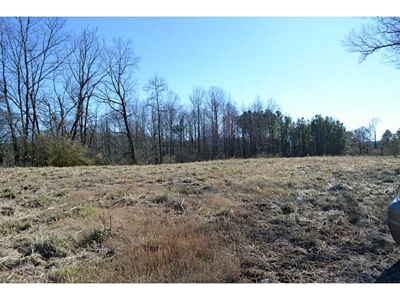 Level N Ga Land for Sale Zoned Hwy Biz Easy ReZone to Ag - image 10