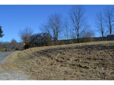 Level N Ga Land for Sale Zoned Hwy Biz Easy ReZone to Ag - image 11