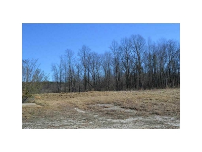 Level N Ga Land for Sale Zoned Hwy Biz Easy ReZone to Ag - image 14