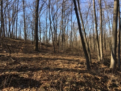 40 +/- Acres Wapello County, Iowa - image 6