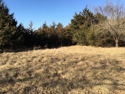 40 +/- Acres Wapello County, Iowa - image 13