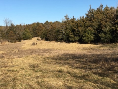 40 +/- Acres Wapello County, Iowa - image 10