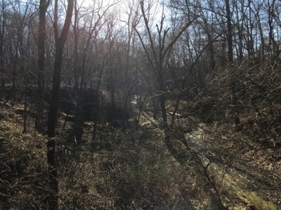 40 +/- Acres Wapello County, Iowa - image 18