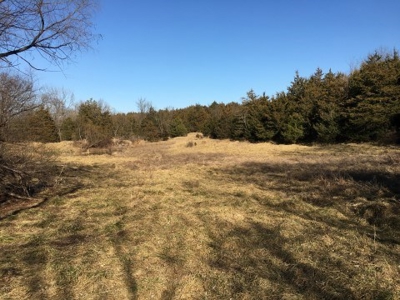 40 +/- Acres Wapello County, Iowa - image 9