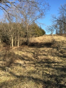 40 +/- Acres Wapello County, Iowa - image 11