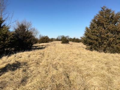 40 +/- Acres Wapello County, Iowa - image 15