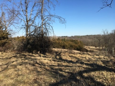 40 +/- Acres Wapello County, Iowa - image 12