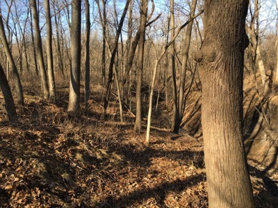 40 +/- Acres Wapello County, Iowa - image 5