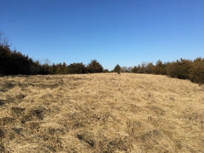 40 +/- Acres Wapello County, Iowa - image 14