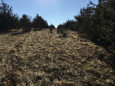 40 +/- Acres Wapello County, Iowa - image 4