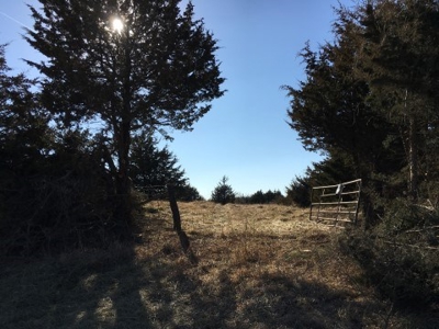 40 +/- Acres Wapello County, Iowa - image 16