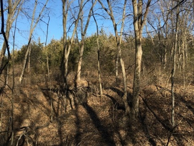 40 +/- Acres Wapello County, Iowa - image 7